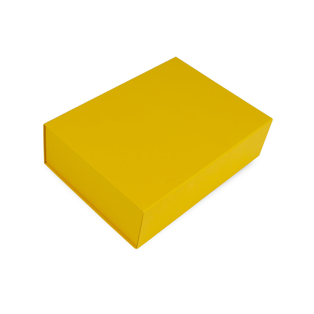 Magneetdozen kraft