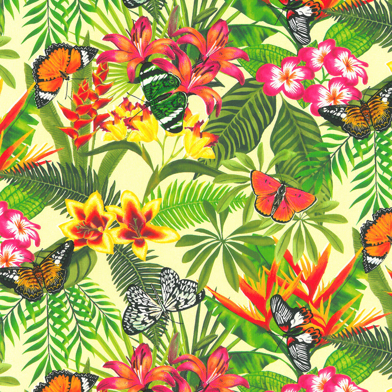 Coated inpakpapier Vlinder dessin