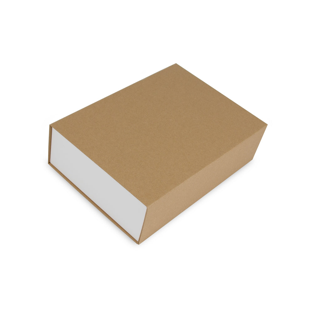 Magneetdozen kraft