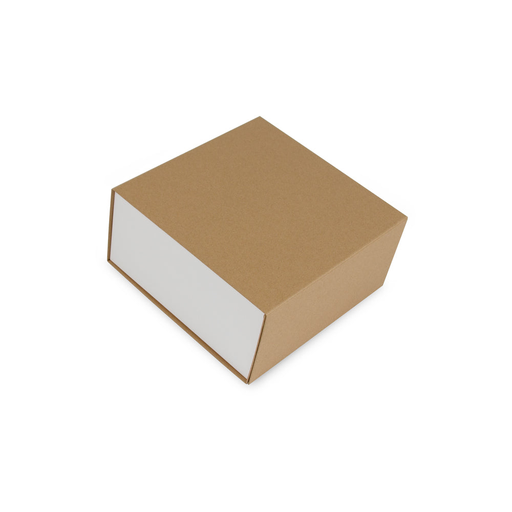 Magneetdozen kraft