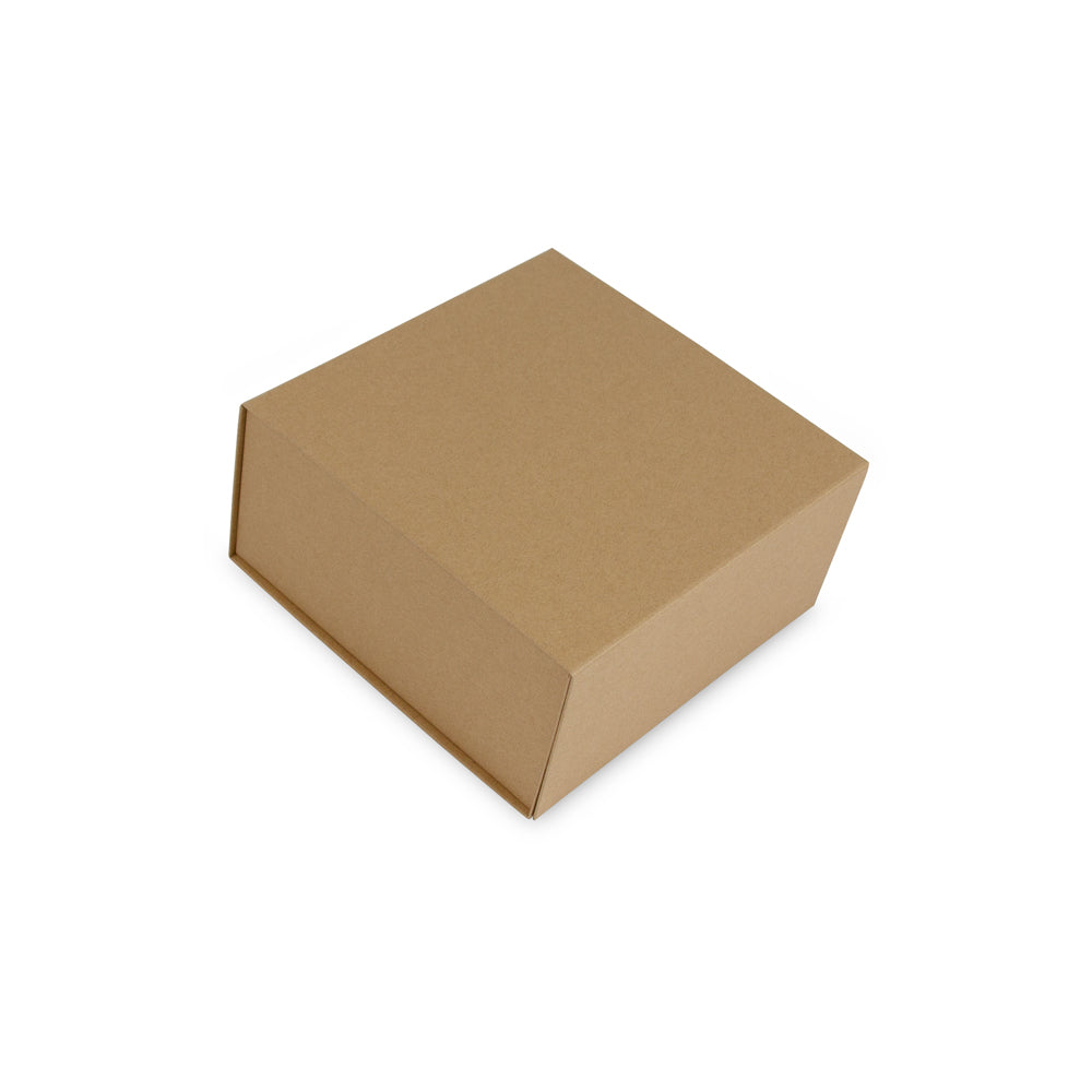 Magneetdozen kraft